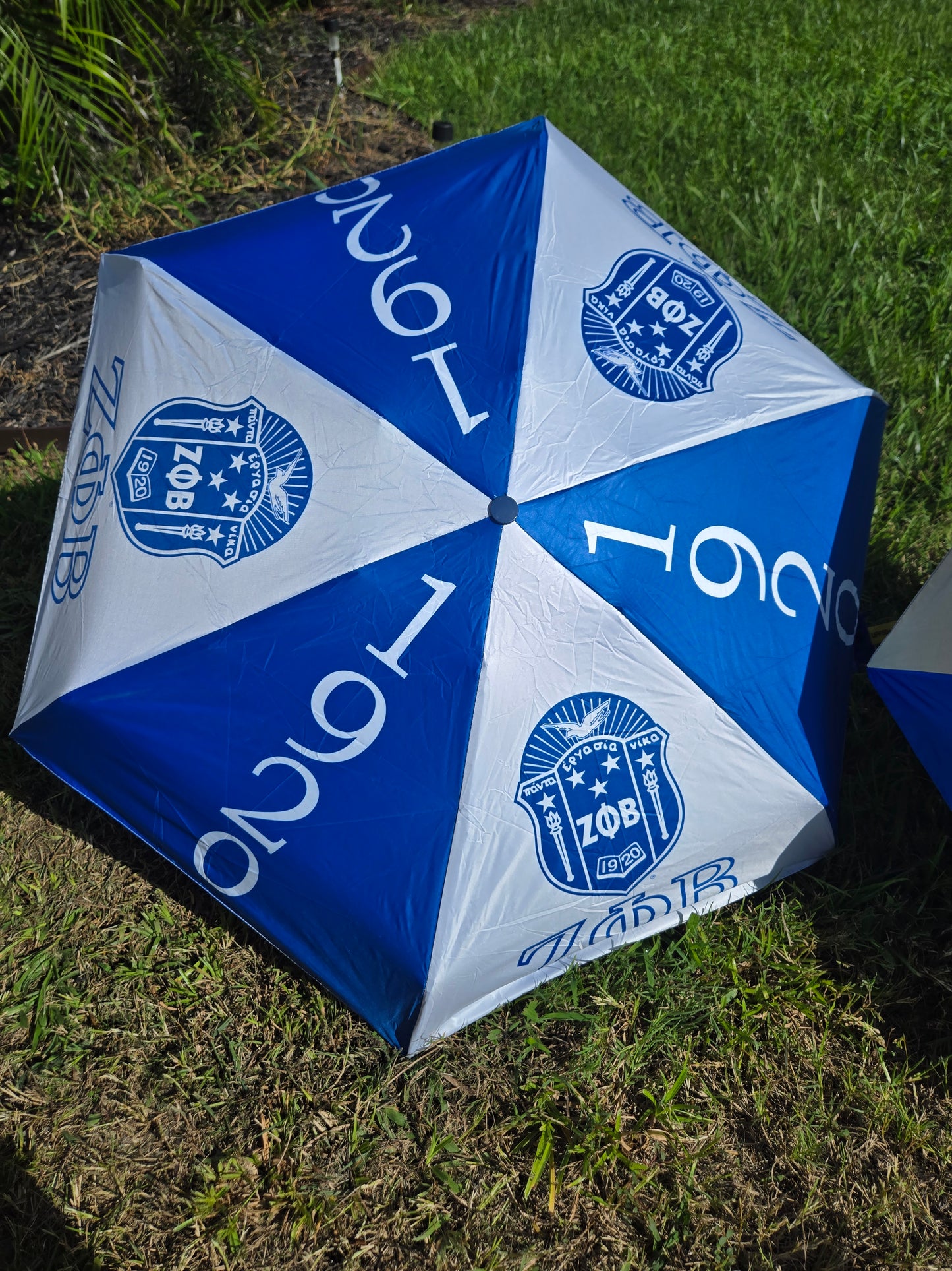 Umbrella